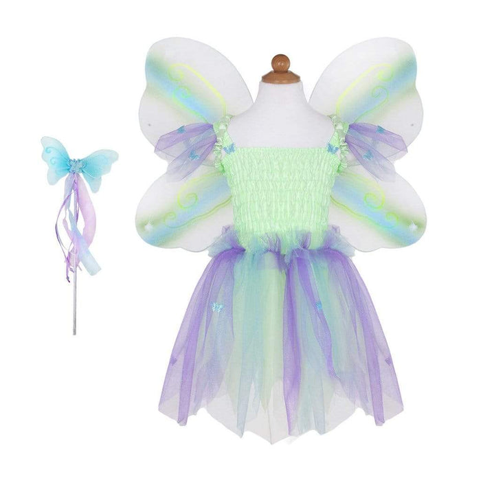 Butterfly Dress & Wings With Wand