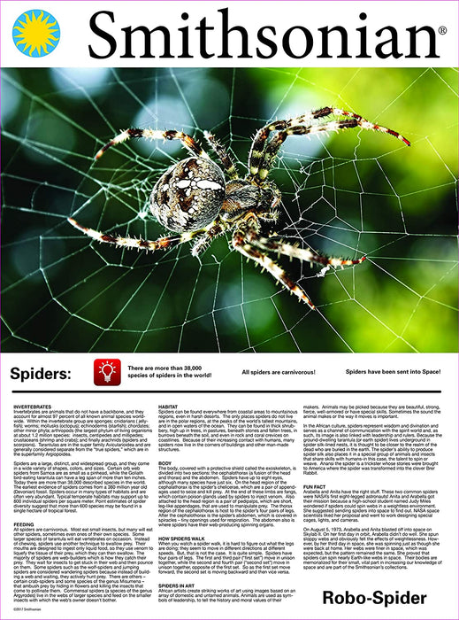 Smithsonian Science Kits – Robo Spider