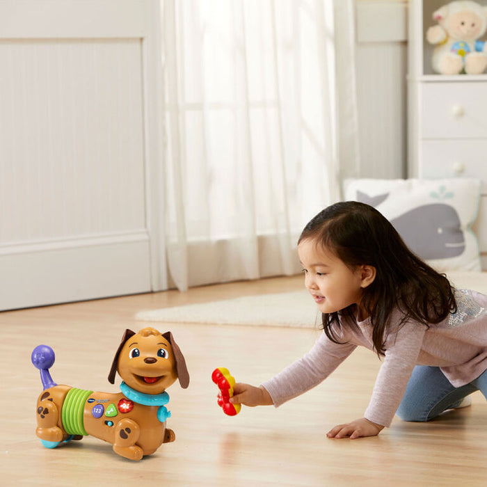 Vtech Rattle & Waggle Learning Pup
