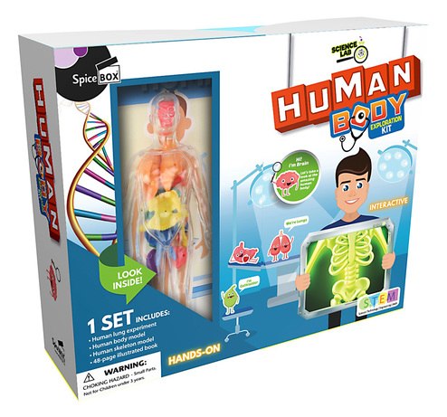 Spice Box Human Body Exploration Kit